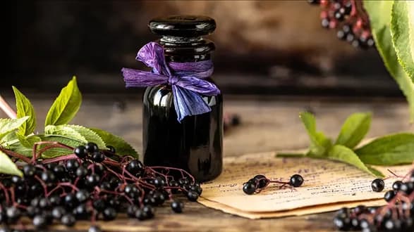 Sok z czarnego bzu – przepis, właściwości, zastosowanie
