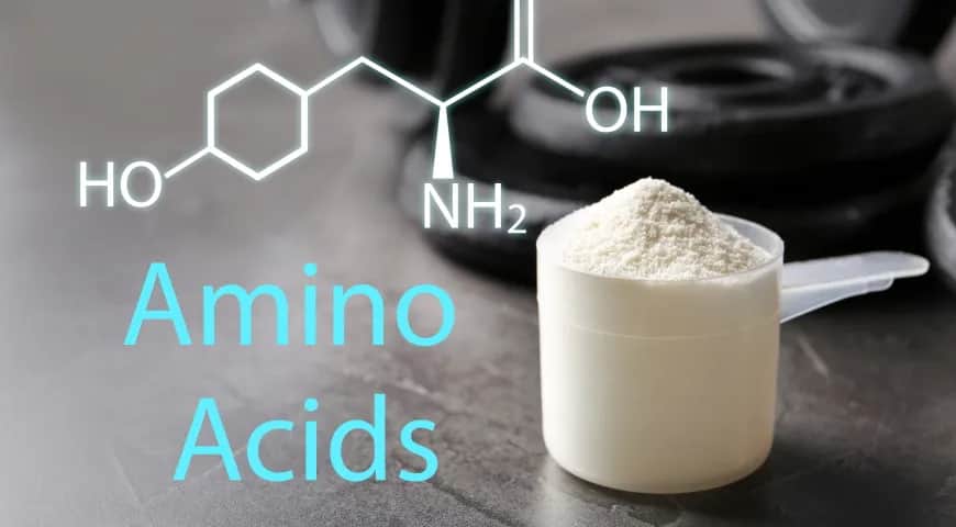 Podział aminokwasów i ich rola w organizmie człowieka - odkryj gamę funkcji