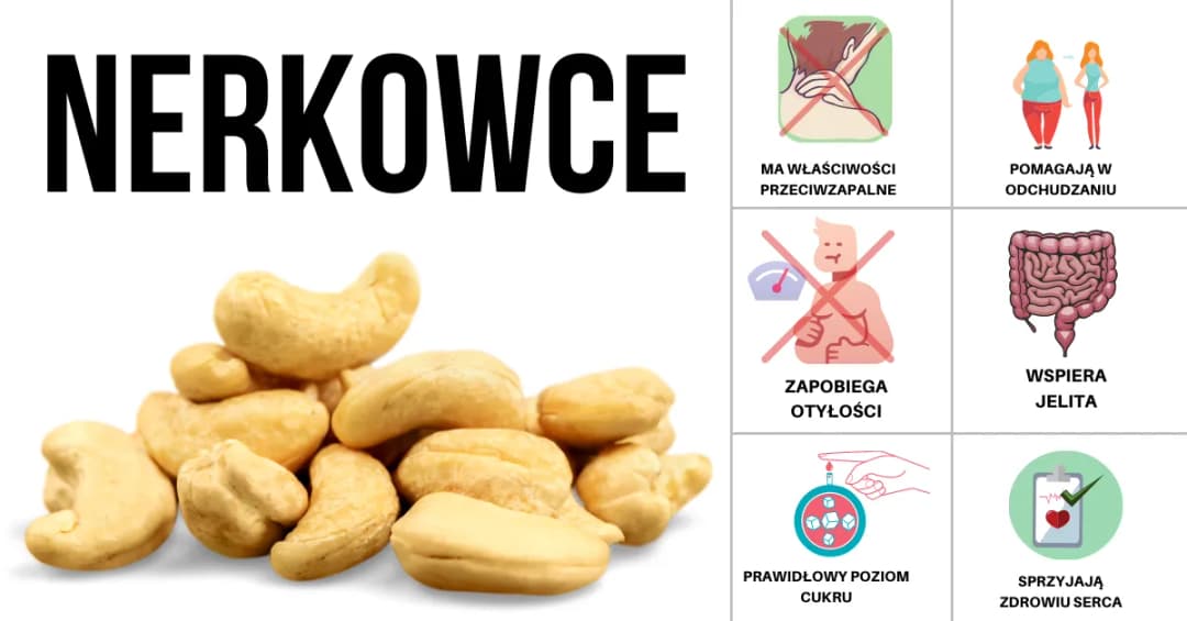 Czy nerkowce są zdrowe? Poznaj właściwości orzechów nerkowca i ich wpływ na zdrowie