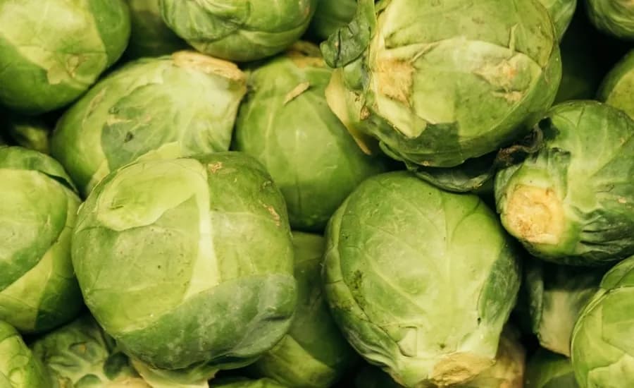 Jak dietetycznie przyrządzić brukselkę: 7 zdrowych sposobów
