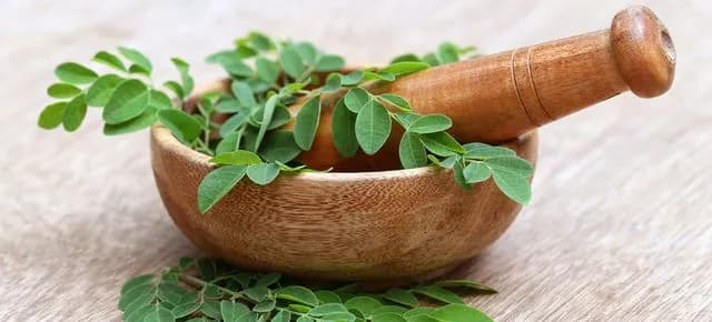 Moringa - poznaj właściwości superrośliny i korzyści dla zdrowia