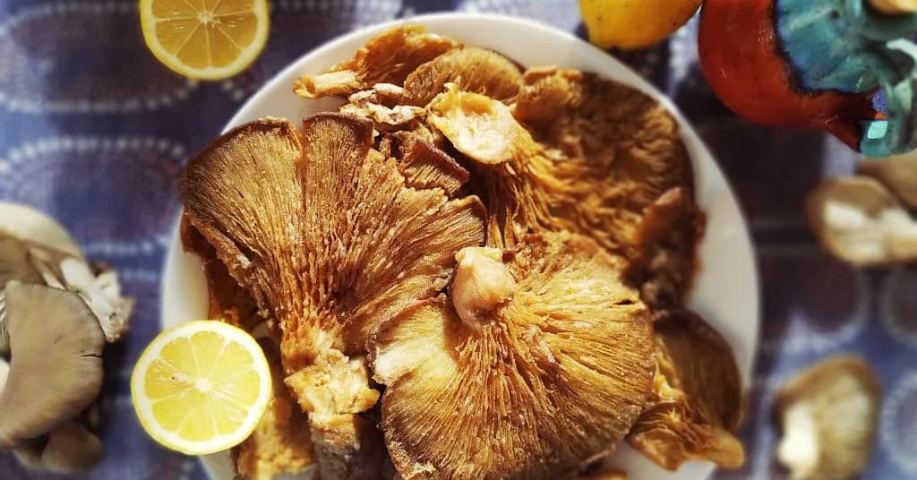 Boczniaki azjatyckie: zdrowie i smak w jednym grzybku