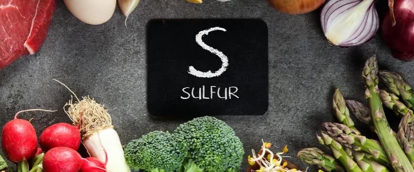 Właściwości i zastosowanie siarki w organizmie człowieka - wszystko co musisz wiedzieć